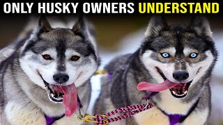 8 Things Nobody tells you about owning a Husky by PawPrints Perfect 630 views 9 days ago 7 minutes, 43 seconds