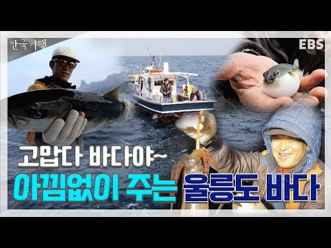 이 맛에 울릉도 살지! 오징어, 참돔, 부시리, 노래미… 아낌없이 주는 울릉도 덕분에 ☆행복☆ㅣ한국기행