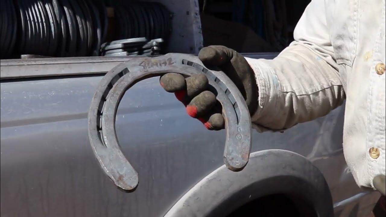 Horse Shoe Sizes And Info RJF YouTube