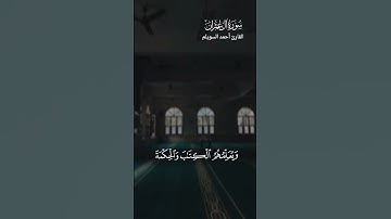 سورة آل عمران #قران_كريم #اكسبلور #تلاوة_خاشعة #لايك