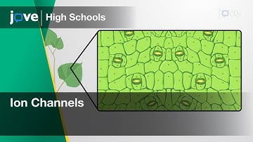 Ion Channels | Bio | Video Textbooks - Preview