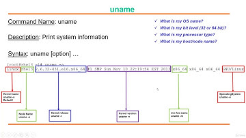 uname linux command