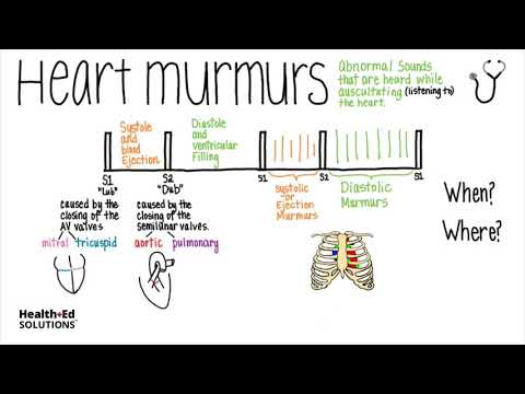 Heart Murmurs Overview (Heart Murmur Series)