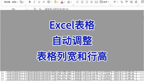 Excel表格，自动调整表格的列宽和行高。#wps #excel #excel技巧