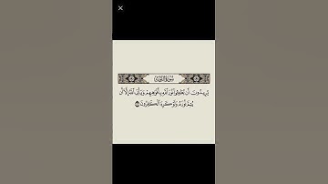 #ماهر_المعيقلي #سورة_التوبة #ياسر_الدوسري #اكسبلور #ستوريات #قرآن #حالات_واتس_اب #ترند