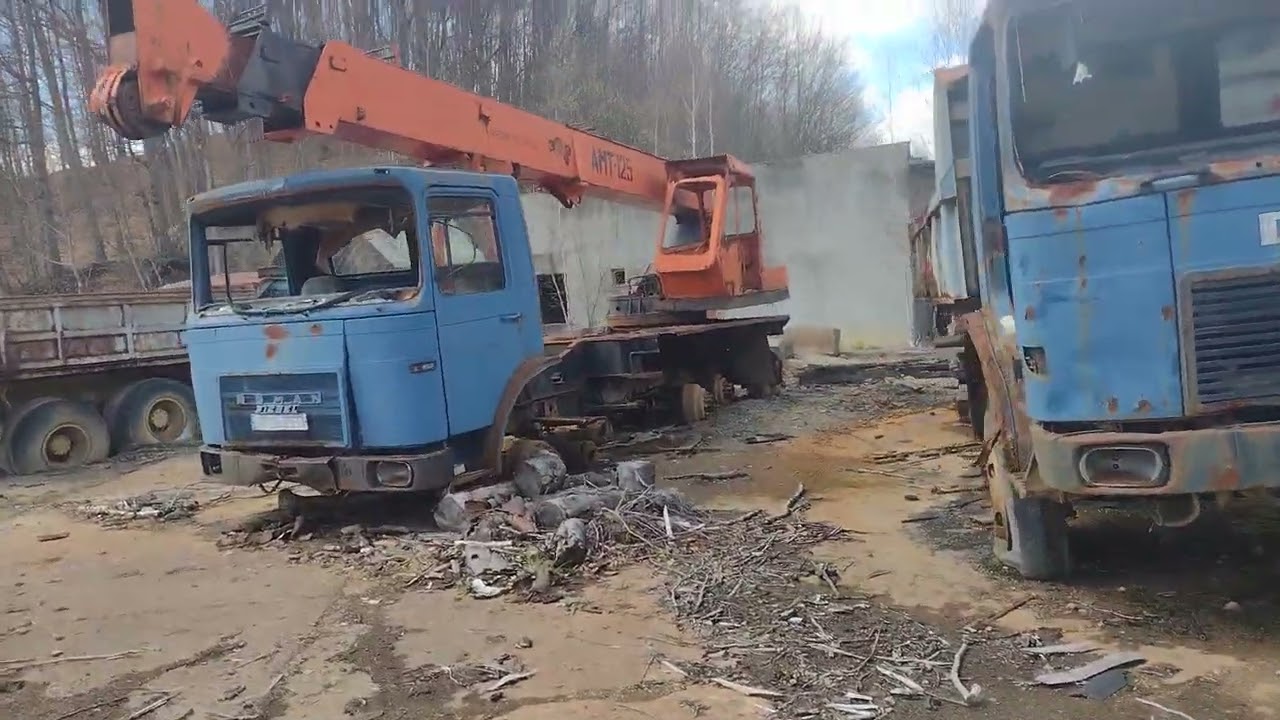 Mina Șuior 💙💛❤️