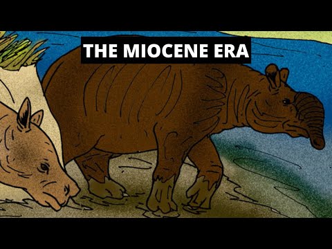 วีดีโอ: เกิดอะไรขึ้นในยุค Miocene?
