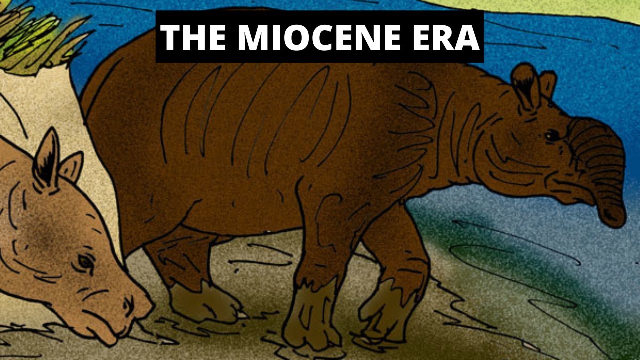 miocene period