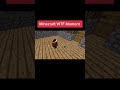 What【Minecraft】