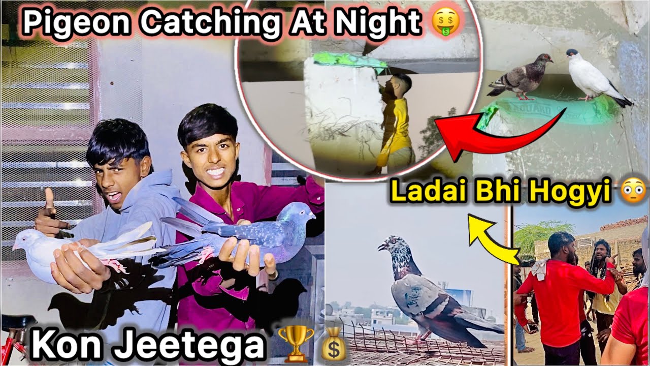 Golu or Nitesh Ki Bazi Lag Gayi 🏆🤑 || Kon Jeetega Paise 💰 || Building se kabutar Pakdne Gye 🕊️