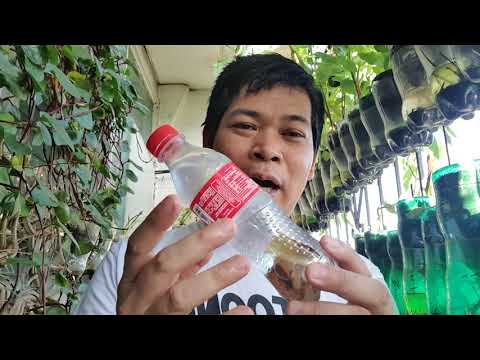 Video: Anong mga halaman ang nakikinabang sa potash?