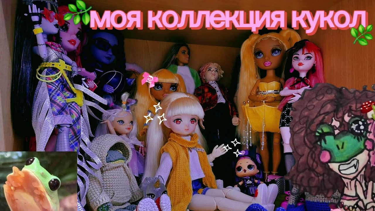 обзор моей коллекции кукол спустя 2 года🐸