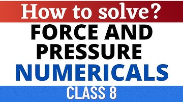 Force and Pressure Numericals | Class 8 | How to Solve Force and Pressure Numericals