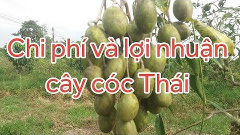 agri3. cây Cóc thái chi phí và lợi nhuận?