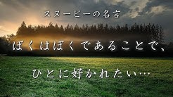 わたあめch Youtube