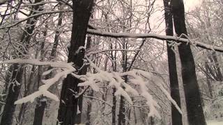 Slow Snow Puli Project