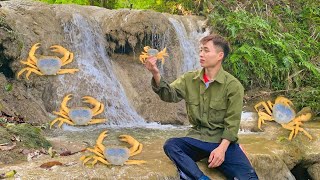 Catching forest king crabs - Survival in the wild–Lyphuchuy