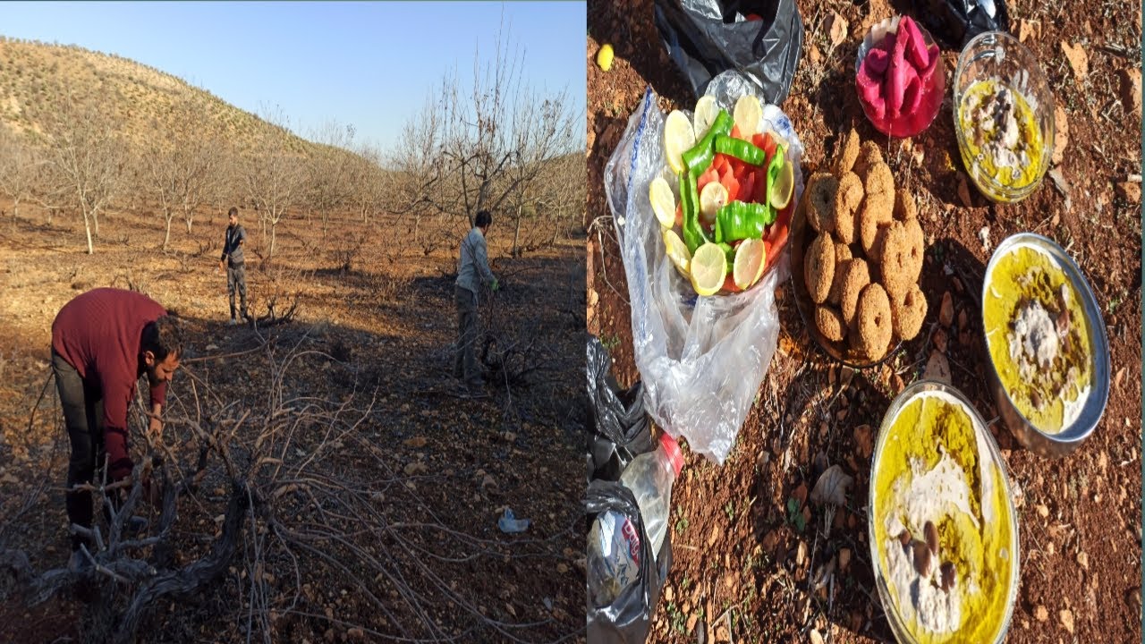 كسحنا كرم العنب بمساعدة الشباب | مع أطيب سفرة حضرها إيحو 😋 فيديو ممتع تابعوا للأخير❤️