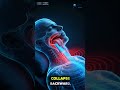 The Most Damaging Sleeping Position And the Healthiest Approved by Neuroscience