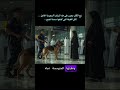 نبح الكلب بجنون على هذه المسافرة السعودية الحامل لكن الحقيقة التي كشفها صدمة الجميع القصة غذا