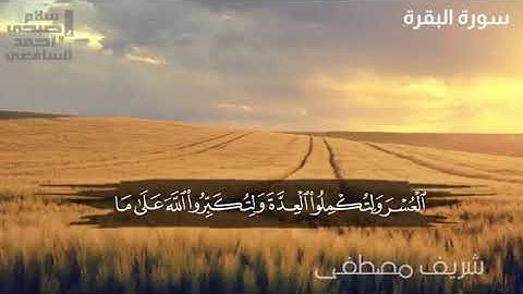 من سورة البقرة |القارئ شريف مصطفى