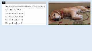 Plug and Chug! (Pt. 1) (SAT Math)