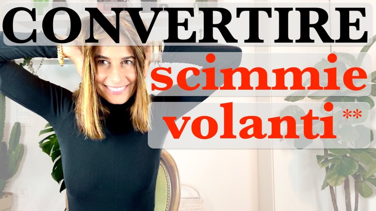 COME COMPORTARSI CON LE SCIMMIE VOLANTI. PUOI AVERLE DALLA TUA PARTE? QUAL'È IL LORO RUOLO?