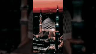 The Beautiful Voice In The World