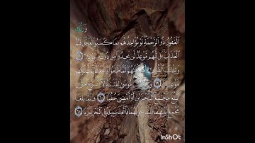 سوره الكهف عدد آياتها ١١٠ آيه (سوره مكيه ) من الآيه ٥٨ إلي الآيه ٦١