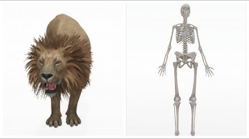 How to get 3d Animals in Google Google 3d Animals AR Feature