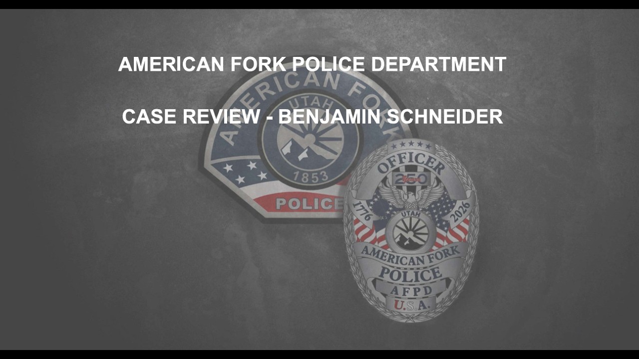 Cover image for Bricks and Minifigs/Benjamin Schneider Media Release