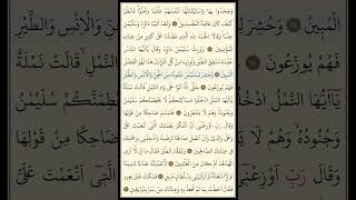 Kuranı Kerim 377. Sayfa