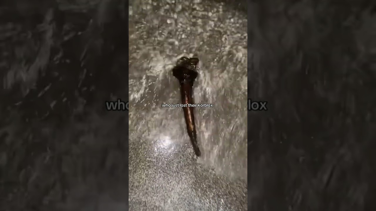 who just lost their Korblox Deathspeaker leg from Roblox