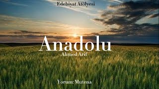 Ahmed Arif - Anadolu