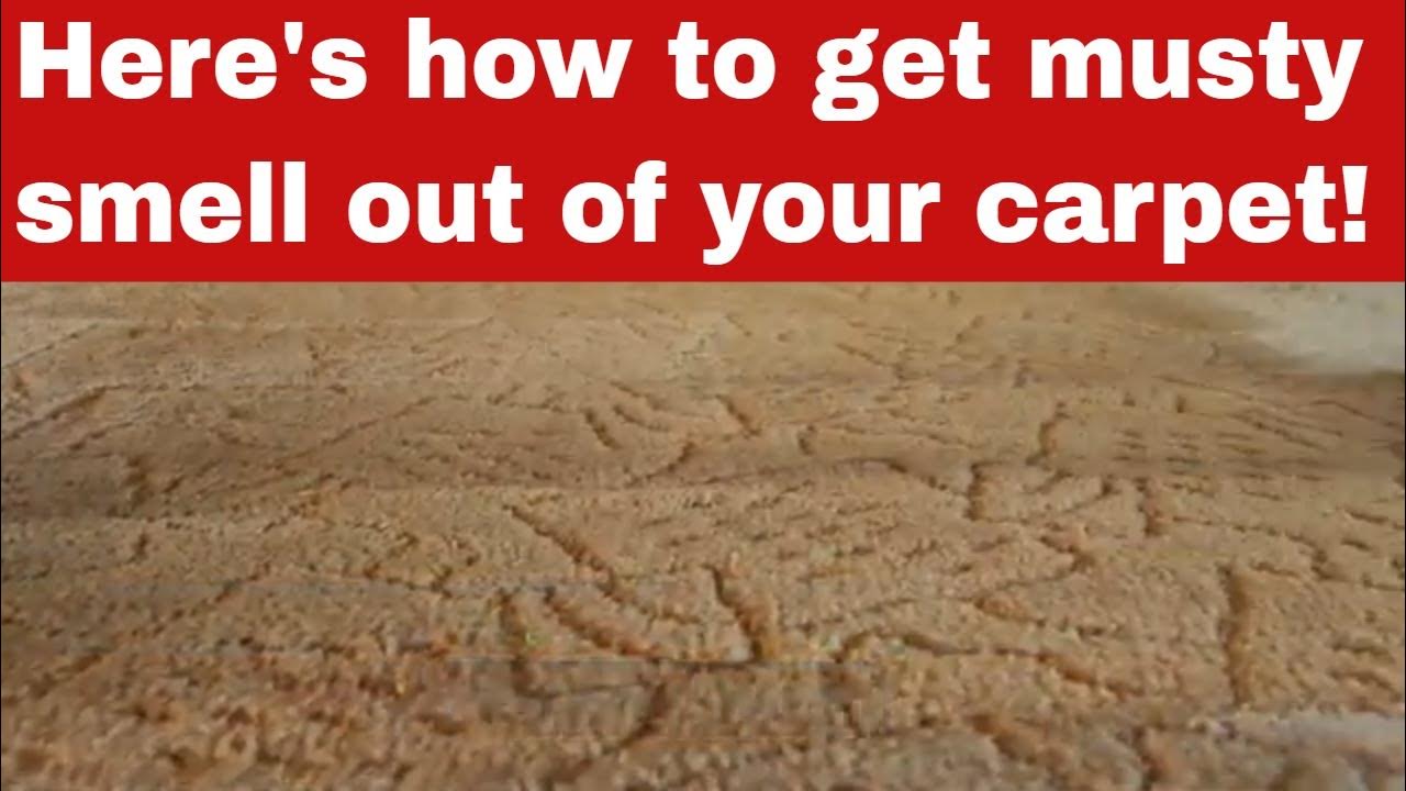 How To Get Musty Smell Out Of Your Carpet [Detailed Guide] YouTube