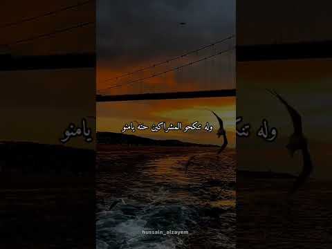 لماذا تفعل لو سبيت الدين بله عمد احفظ هذا الفديو فارس المنابر الشيخ كشك رحمه الله