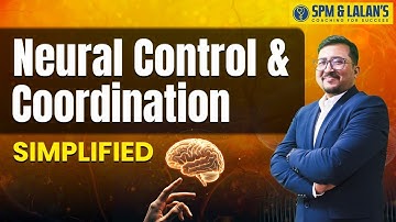 Master Neural Control & Coordination | Biology One-Shot Revision | SPM & Lalan’s