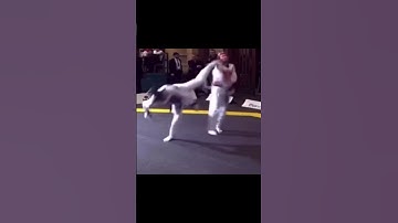 TAEKWONDO WTF