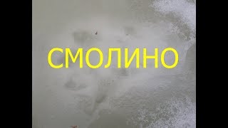 РЫБАЛКА НА ТОМИ В СМОЛИНО 23.03.18. местныегорбачи,рекатомь,мормышка,март