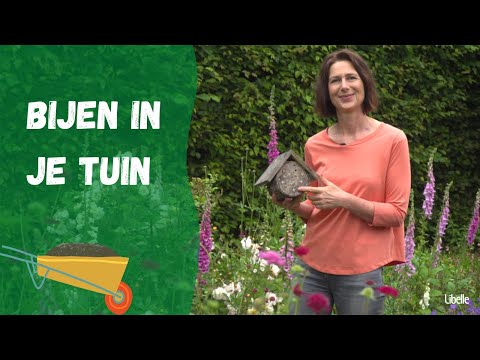 Video: Meer informatie over tuinclubs en verenigingen