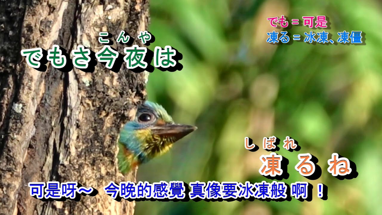 北の居酒屋字義版 Youtube