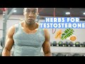 4 herbs that boost testosterone levels  tips for instant increase