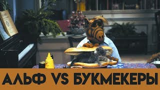 SportMovie | Альф против букмекеров SportMovie | Альф против букмекеров