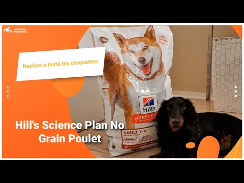 Vidéo: Les chiens peuvent-ils manger des nachos ?