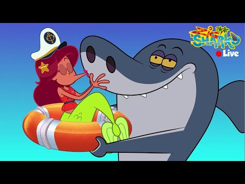 Zig x Sharko 3 | Live Cartoon | New Season x Episodes