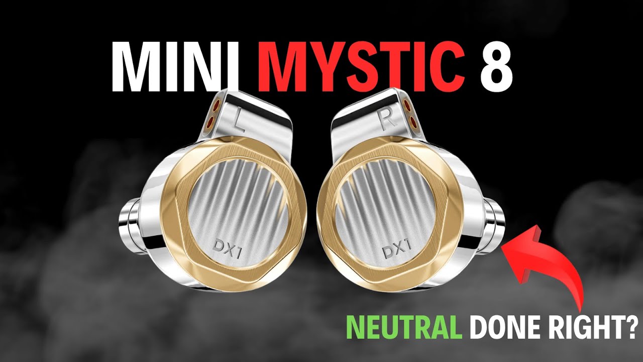 Natural. Great Mids. Neutral Single DD IEM Winner? – Letshuoer DX1