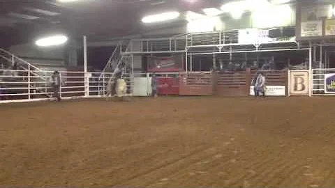 Mineral Wells - Chris Garr