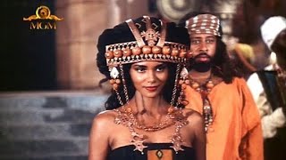 Solomon & Sheba (1995)