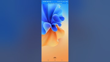 $316.72 cumulative earnings and withdrawals from smart Mev bot in 80 days(@segzydops)