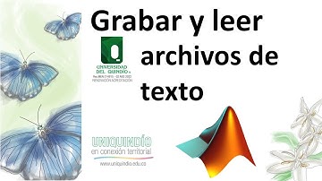 Matlab: Grabar y leer archivos de texto que contienen una matriz